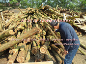 Acacia sawn timber