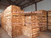 Shoring Dunnage